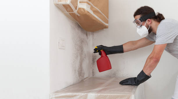 Professional Mold Cleanup technician working in Lawnside, NJ