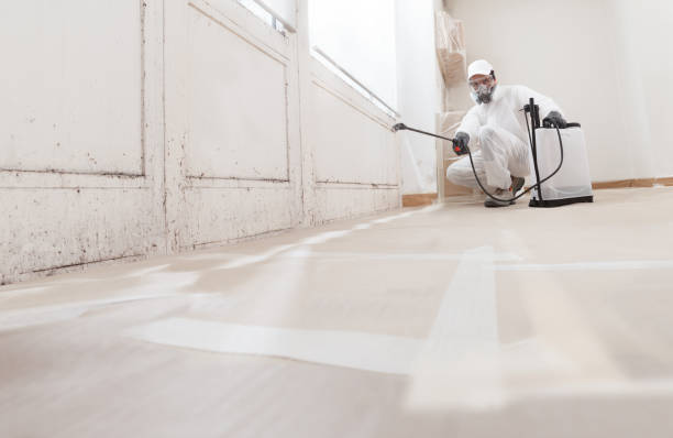 24/7 Emergency Mold Cleanup experts in Lawnside, NJ