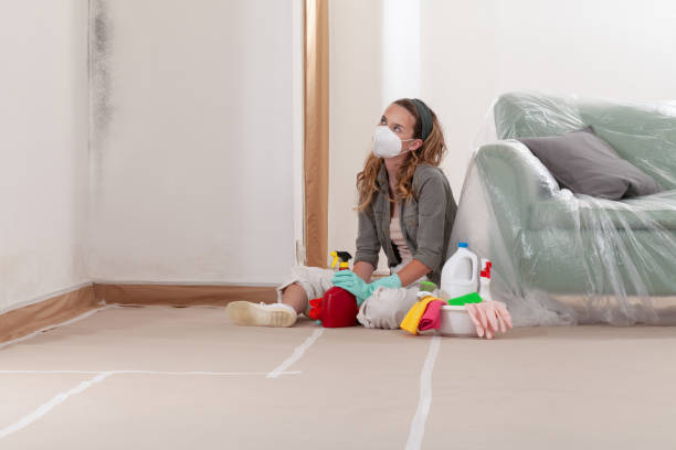 Reliable Mold Cleanup contractor in Lawnside, NJ by Cheap Mold Removal